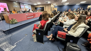 Participação feminina: Anamatra participa de evento que discute os rumos da Resolução CNJ nº 255							